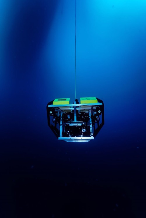 Pasa el ratón para cambiar la imagen