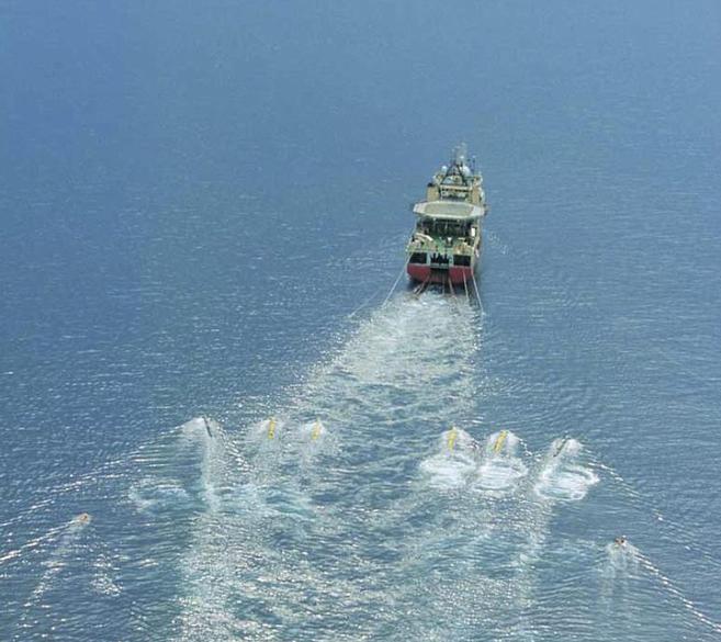 Pasa el ratón para cambiar la imagen